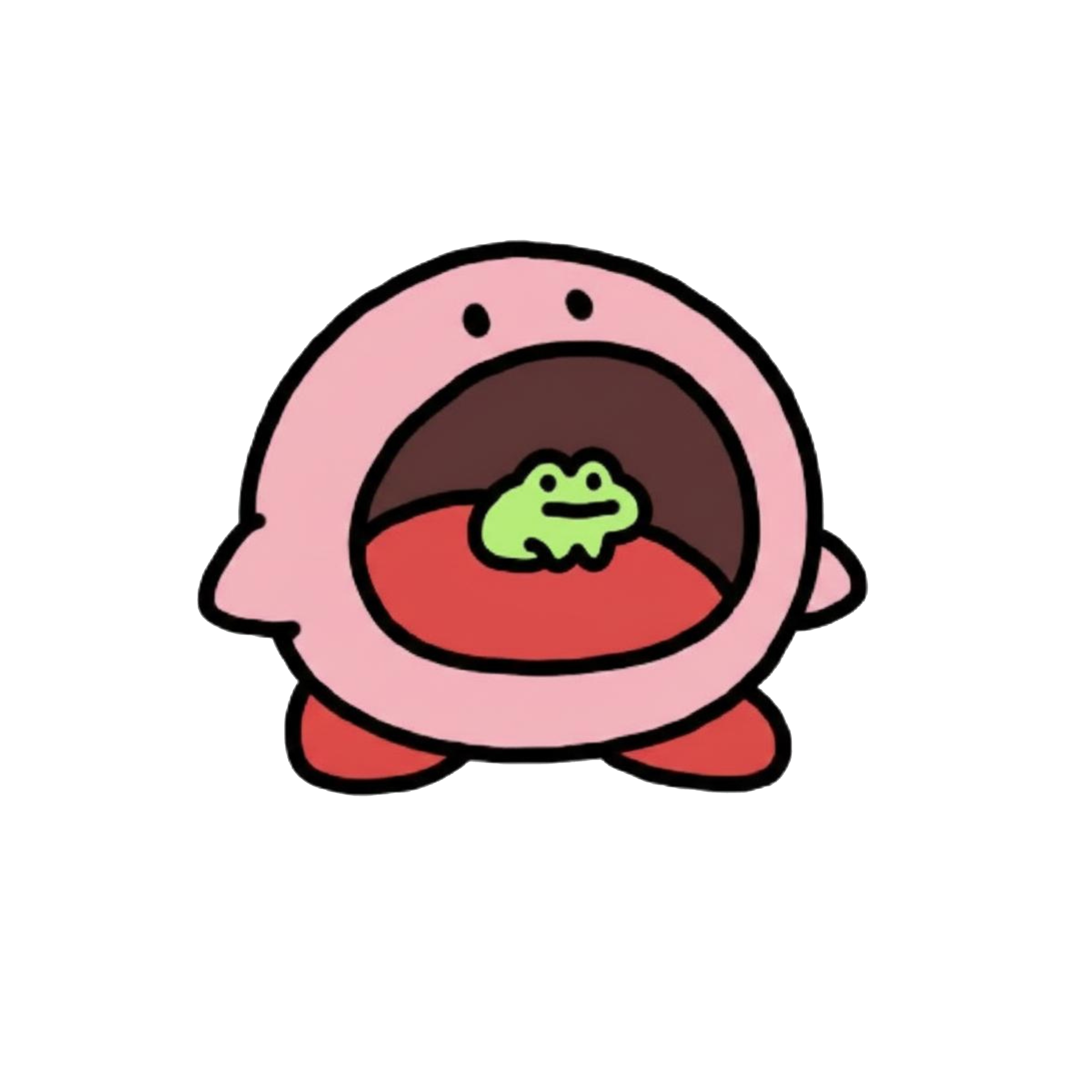 Kirby's Little Frog Friend